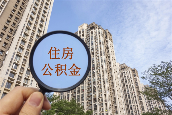 公积金还看征信吗吗_亳州公积金代办在职离职封存服务